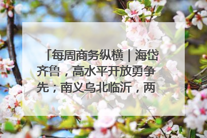 每周商务纵横｜海岱齐鲁，高水平开放勇争先；南义乌北临沂，两扇窗里观外贸