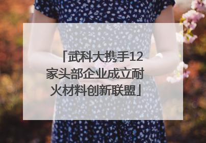 武科大携手12家头部企业成立耐火材料创新联盟