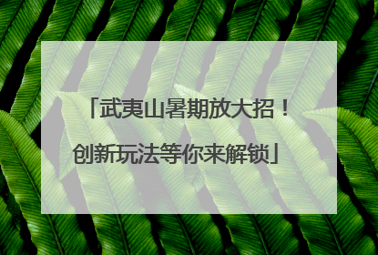 武夷山暑期放大招！创新玩法等你来解锁