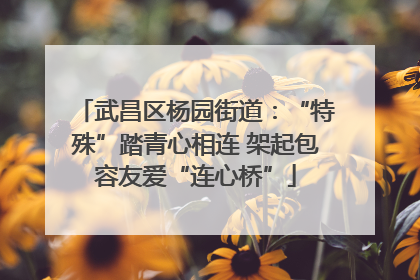 武昌区杨园街道：“特殊”踏青心相连 架起包容友爱“连心桥”