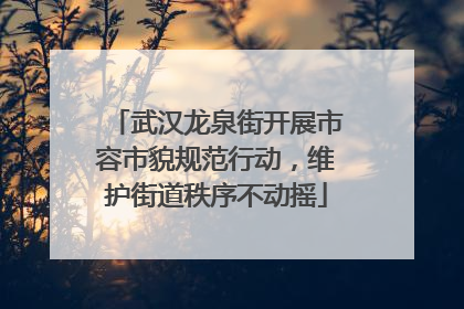 武汉龙泉街开展市容市貌规范行动，维护街道秩序不动摇