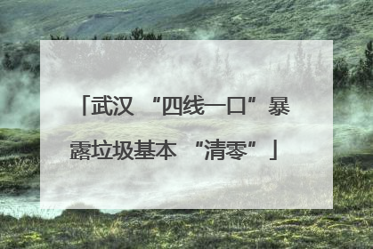 武汉 “四线一口”暴露垃圾基本 “清零”