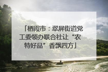 栖霞市：翠屏街道党工委领办联合社让“农特好品”香飘四方