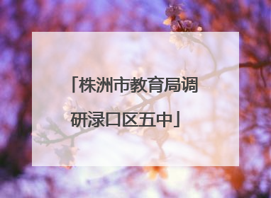 株洲市教育局调研渌口区五中