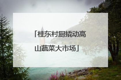 桂东村厨撬动高山蔬菜大市场