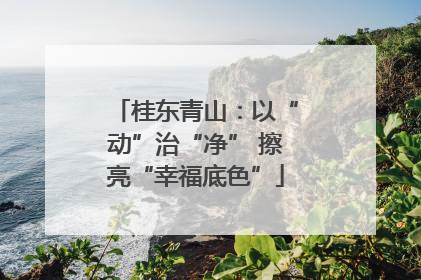 桂东青山：以“动”治“净” 擦亮“幸福底色”