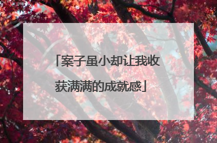 案子虽小却让我收获满满的成就感