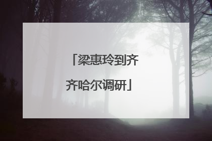 梁惠玲到齐齐哈尔调研