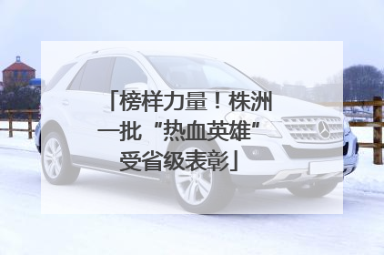 榜样力量！株洲一批“热血英雄”受省级表彰