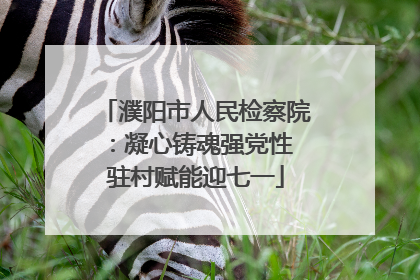 濮阳市人民检察院：凝心铸魂强党性 驻村赋能迎七一