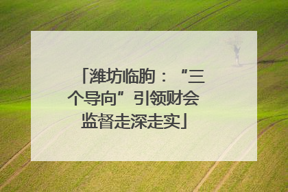 潍坊临朐：“三个导向”引领财会监督走深走实