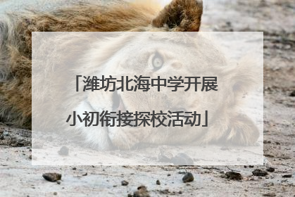潍坊北海中学开展小初衔接探校活动