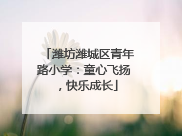 潍坊潍城区青年路小学：童心飞扬，快乐成长