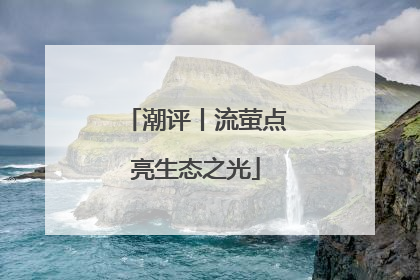潮评丨流萤点亮生态之光