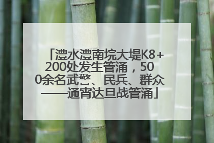 澧水澧南垸大堤K8+200处发生管涌，500余名武警、民兵、群众——通宵达旦战管涌