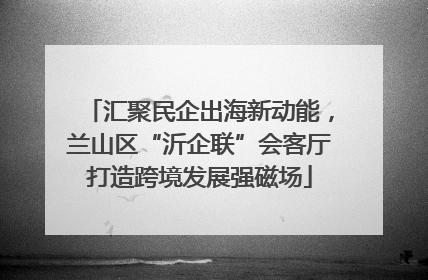 汇聚民企出海新动能，兰山区“沂企联”会客厅打造跨境发展强磁场