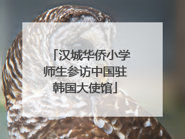 汉城华侨小学师生参访中国驻韩国大使馆