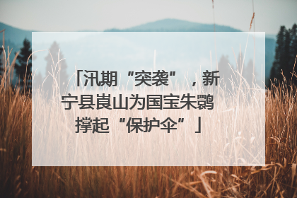 汛期“突袭”，新宁县崀山为国宝朱鹮撑起“保护伞”