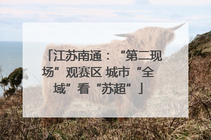 江苏南通：“第二现场”观赛区 城市“全域”看“苏超”
