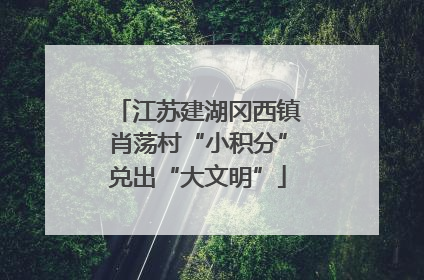 江苏建湖冈西镇肖荡村“小积分”兑出“大文明”