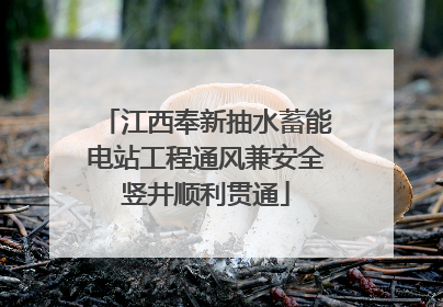 江西奉新抽水蓄能电站工程通风兼安全竖井顺利贯通