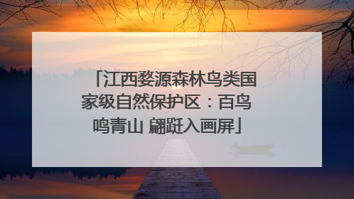 江西婺源森林鸟类国家级自然保护区：百鸟鸣青山 翩跹入画屏