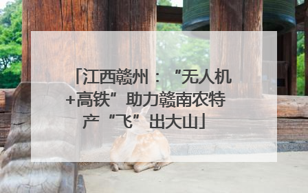 江西赣州：“无人机+高铁”助力赣南农特产“飞”出大山