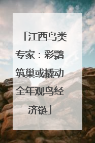 江西鸟类专家：彩鹮筑巢或撬动全年观鸟经济链
