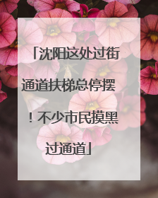 沈阳这处过街通道扶梯总停摆！不少市民摸黑过通道