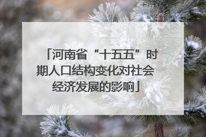 河南省“十五五”时期人口结构变化对社会经济发展的影响