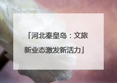 河北秦皇岛：文旅新业态激发新活力