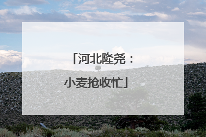 河北隆尧：小麦抢收忙