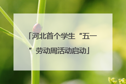 河北首个学生“五一”劳动周活动启动