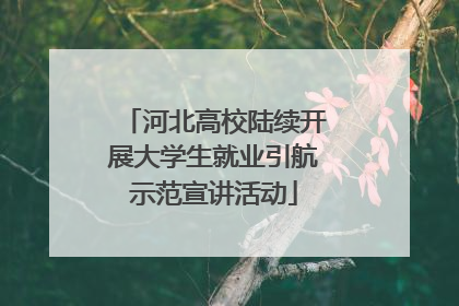 河北高校陆续开展大学生就业引航示范宣讲活动