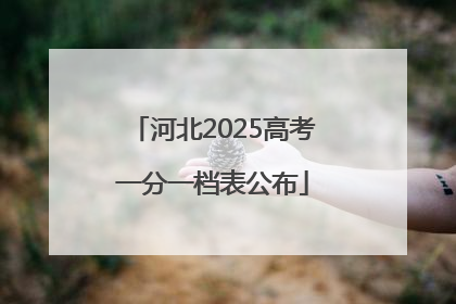 河北2025高考一分一档表公布