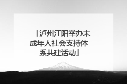 泸州江阳举办未成年人社会支持体系共建活动