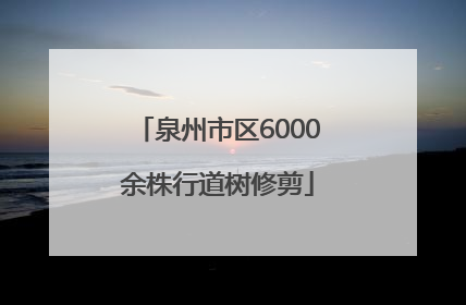 泉州市区6000余株行道树修剪