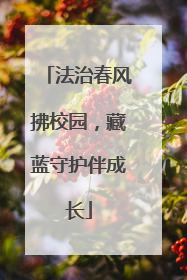 法治春风拂校园，藏蓝守护伴成长