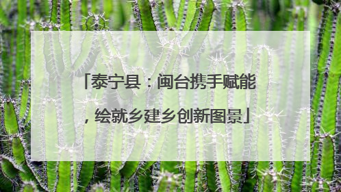 泰宁县：闽台携手赋能，绘就乡建乡创新图景