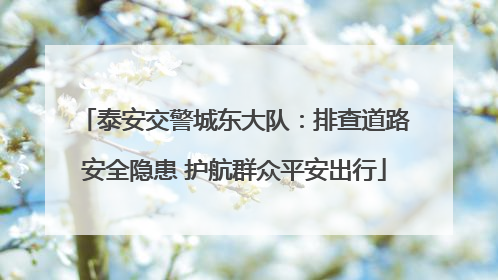 泰安交警城东大队：排查道路安全隐患 护航群众平安出行