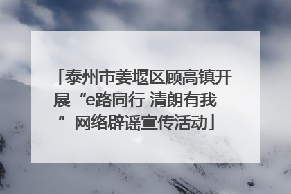 泰州市姜堰区顾高镇开展“e路同行 清朗有我”网络辟谣宣传活动