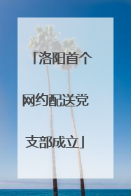 洛阳首个网约配送党支部成立