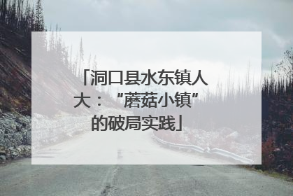 洞口县水东镇人大：“蘑菇小镇”的破局实践