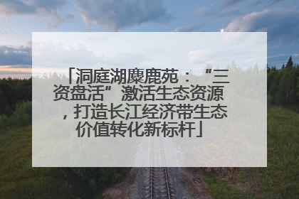 洞庭湖麋鹿苑：“三资盘活”激活生态资源，打造长江经济带生态价值转化新标杆