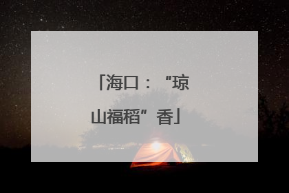 海口：“琼山福稻”香