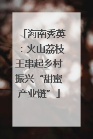 海南秀英：火山荔枝王串起乡村振兴“甜蜜产业链”