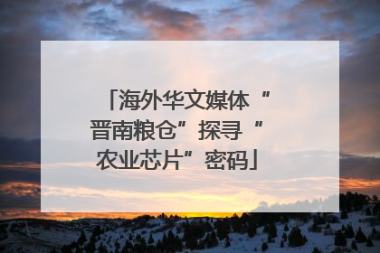 海外华文媒体“晋南粮仓”探寻“农业芯片”密码