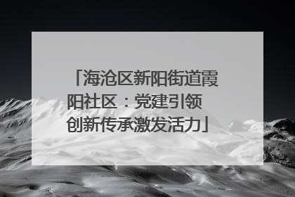 海沧区新阳街道霞阳社区：党建引领 创新传承激发活力