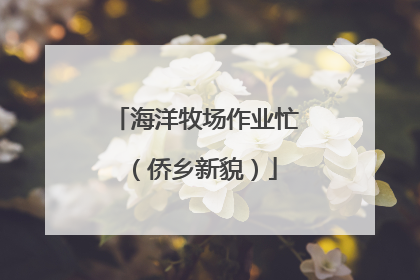 海洋牧场作业忙（侨乡新貌）