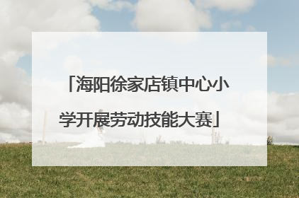 海阳徐家店镇中心小学开展劳动技能大赛